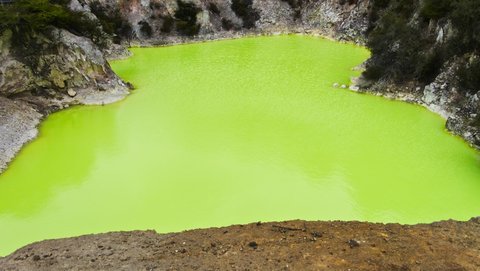 Nouvelle Zélande, novembre à janvier 2019-20, _1250710 raw Crater Roto Karikitea  site de Waiotapu  ile du nord