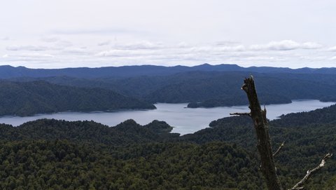 Nouvelle Zélande, novembre à janvier 2019-20, _1250812 raw Depuis Pukenui Hut  Lac Waikaremoana  ile du nord