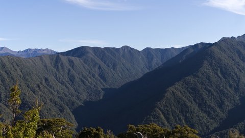 Nouvelle Zélande, novembre à janvier 2019-20, _1260123 raw  Entre  Aoere Shelter et Perry Saddle Hut  Heaphy Track  ile du sud
