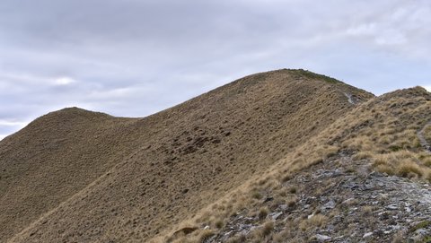 Nouvelle Zélande, novembre à janvier 2019-20, _1270127 raw Mont Alpha  1630m   massif du Roys Peak  ile du sud
