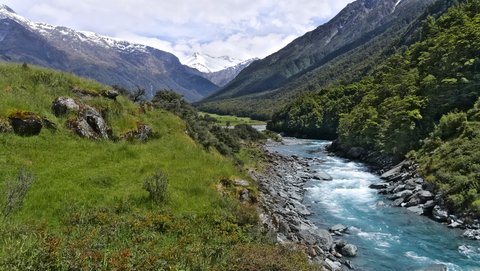 Nouvelle Zélande, novembre à janvier 2019-20, _1270179 raw West Matukituki Track  Wanaka  ile du sud