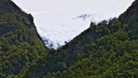 Nouvelle Zélande, novembre à janvier 2019-20, _1270185 raw Rob Roy Glacier  Wanaka  ile du sud