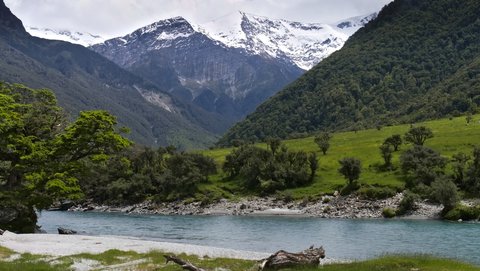 Nouvelle Zélande, novembre à janvier 2019-20, _1270186 raw West Matukituki Track  Wanaka  ile du sud