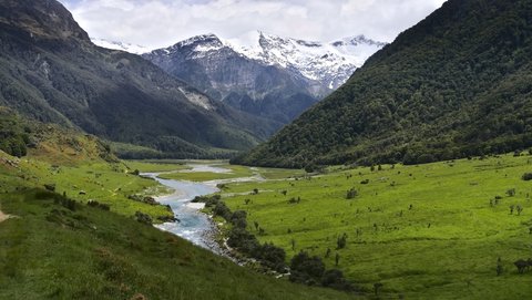 Nouvelle Zélande, novembre à janvier 2019-20, _1270190 raw West Matukituki Track  Wanaka  ile du sud