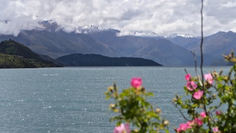 Nouvelle Zélande, novembre à janvier 2019-20, _1270224 raw Sud Ouest du lac Wanaka  ile du sud