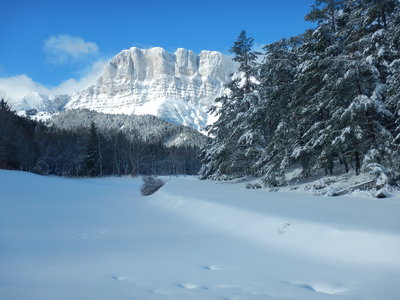 Vercors 2020 Col d'Allimas depuis Gresse en Vercors, DSCN8942