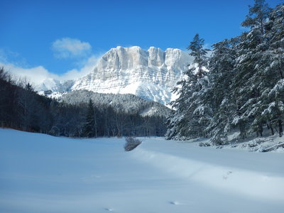 Vercors 2020 Col d'Allimas depuis Gresse en Vercors, DSCN8943