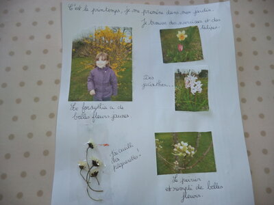 PSMSMailleysemaine2, DSC08937