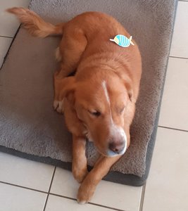 PSMSMailley_semaine3, copie2