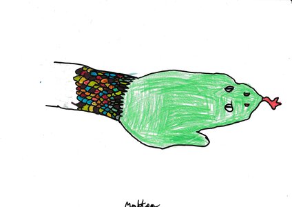 Arts Ce2C, matteo3