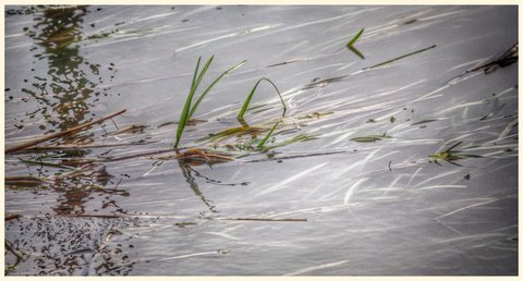 Natures, 2013-11-16 16.27.46