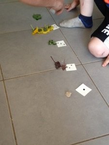 PSMSMailleysemaine4, IMG_0852