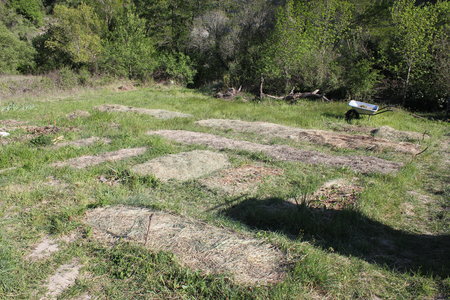 Jardin Delphine et Julien Avril 2020, 1