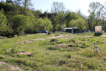 Jardin Delphine et Julien Avril 2020, 2