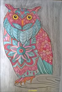 COLOR'IMAGES, coloriage 202005  6 