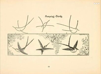 Haw to Draw it, IMG_E3191