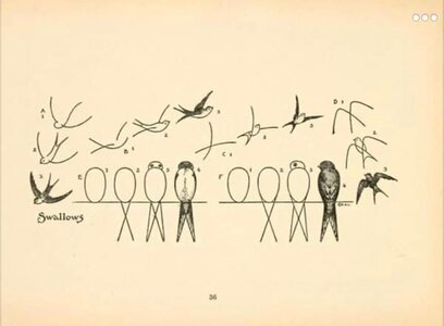 Haw to Draw it, IMG_E3197