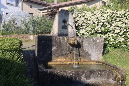 20200521 Randonnée boucle entre Maidières et la Petite Suisse, 021 Fontaine, Jézainville