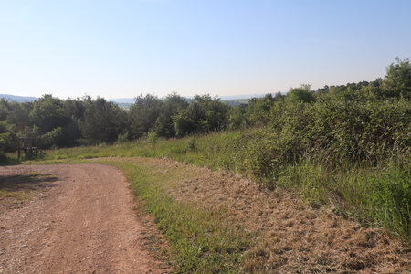 20200521 Randonnée boucle entre Maidières et la Petite Suisse, 022 Vau Saint-Aubin