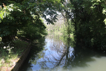 20200521 Randonnée boucle entre Maidières et la Petite Suisse, 042 Le bassin de rétention du moulin de Villevaux