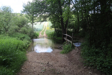 20200521 Randonnée boucle entre Maidières et la Petite Suisse, 044 Passage à gué sur l'Esch à La Jus