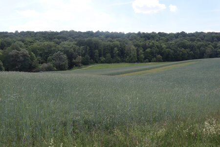 20200521 Randonnée boucle entre Maidières et la Petite Suisse, 046 La Jus