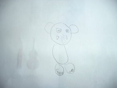 PSMSMailleysemaine8, Elephant