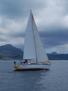 Vente Voilier Rebelle Raiatea 2020, Rebelle dans le lagon 2.red