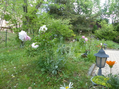 2020 05 30 Jardin de Louisette, 2020_05_30 Jardin de Louisette 104