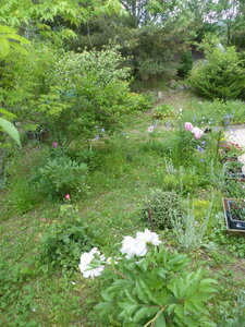 2020 05 30 Jardin de Louisette, 2020_05_30 Jardin de Louisette 106