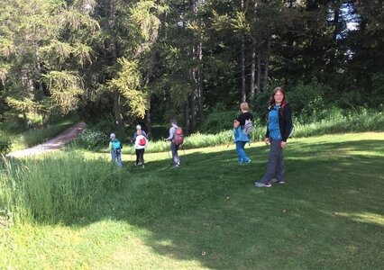 Plateau de Bayard, IMG_2166
