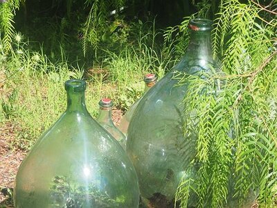JARDIN DU MIP MOUANS SARTOUX, 0005