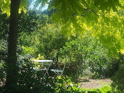 JARDIN DU MIP MOUANS SARTOUX, 0015