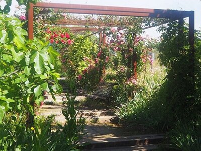 JARDIN DU MIP MOUANS SARTOUX, 0024
