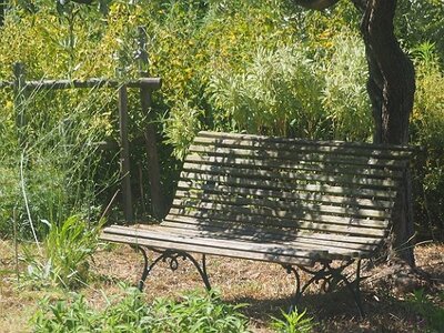 JARDIN DU MIP MOUANS SARTOUX, 0034