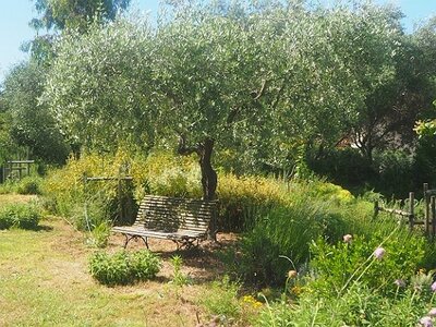 JARDIN DU MIP MOUANS SARTOUX, 0035