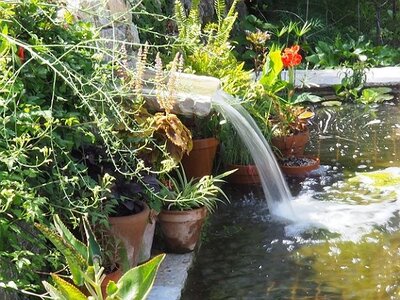 JARDIN DU MIP MOUANS SARTOUX, 0053