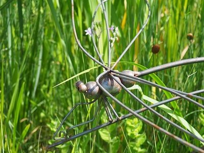 JARDIN DU MIP MOUANS SARTOUX, 0074
