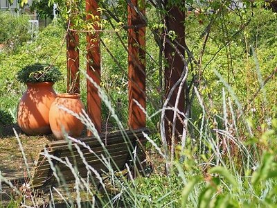 JARDIN DU MIP MOUANS SARTOUX, 0088