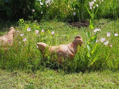 JARDIN DU MIP MOUANS SARTOUX, 0094