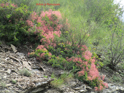 Boucle ND du Laus, IMG_3849