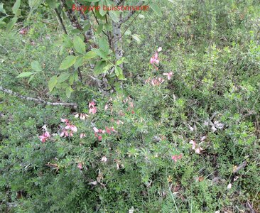 Boucle ND du Laus, IMG_3867-1