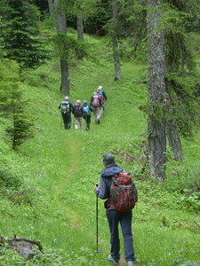 2020 06 11 Sous petite Autane, 2020_06_11 Boucle sous petite autane 101