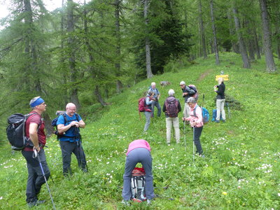 2020 06 11 Sous petite Autane, 2020_06_11 Boucle sous petite autane 102