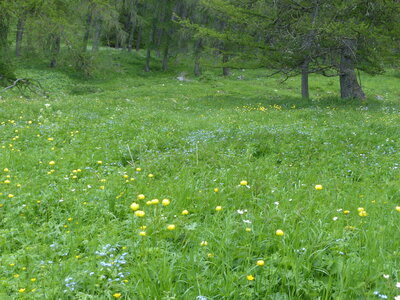 2020 06 11 Sous petite Autane, 2020_06_11 Boucle sous petite autane 106