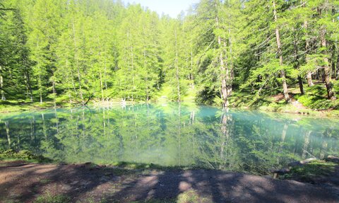 Risoul 6/2020, IMG_3878