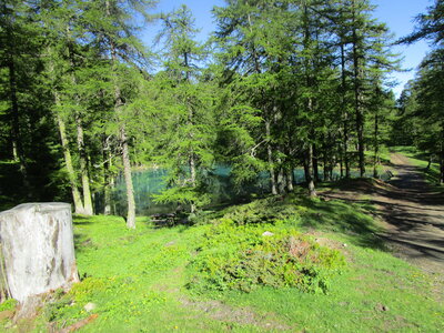 Risoul 6/2020, IMG_3875