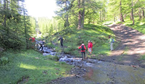 Risoul 6/2020, IMG_3883