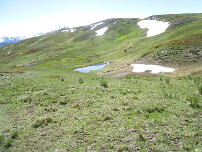 Risoul 6/2020, IMG_3899