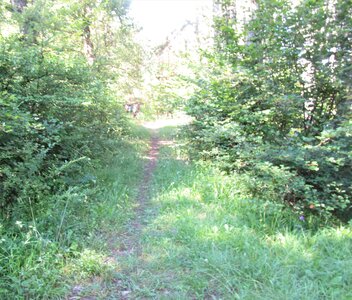 Rando Prunières, IMG_3945
